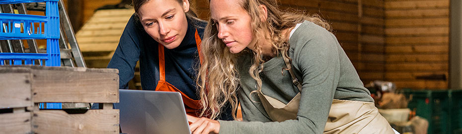 Online Banking Firmenkunden Vr Bank In Sudniedersachsen Eg